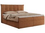 BOXBETT PREMIUM 10 120/200 Orange Struktur - H3