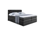BOXSPRINGBETT BOXI8 KING - 140x200 - H3/H4 - Schwarz Hochglanz