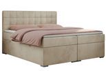 BOXBETT CARMEN 140/200 Beige Velvet - H3