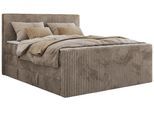 BOXSPRINGBETT TILIANO KING DUO 200/200 - Hellbraun Cord - H3