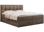 BOXBETT RICO 180/200 Braun Velvet - H4