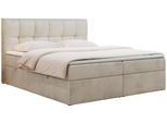 BOXBETT RICO 120/200 Beige Velvet - H3