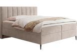 BOXBETT Allen mit Bettkasten, Samt Beige 120x200 cm – inkl. H4 Taschenfederkern Matratze & Foam Topper