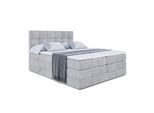 BOXSPRINGBETT MARCE KING - 120x200 - H3/H4 - Hellgrau