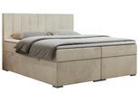 BOXBETT LOPE 120/200 - Beige Velvet - H4