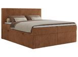 BOXBETT TILIANO 200/200 - Orange Cord - H4