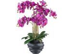 Kunstorchidee CREATIV GREEN "Orchidee Phalaenopsis", pink (lila), H:70cm, Kunststoff, Kunstpflanzen, Kunstorchidee, im Design-Topf