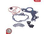 ESEN SKV Reparatursatz, Unterdruckpumpe (Bremsanlage) 18skv801 für Ford VAG