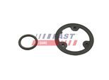 FAST Dichtring, Ölkühler ft48954 am Wärmetauscher für Iveco Fiat