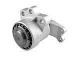 TEDGUM Lagerung, Motor ted99323 vorne für Ford