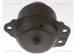 TRISCAN Lagerung, Motor 850565103 für SAAB