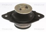 TRISCAN Lagerung, Motor 850529144 für VW