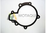 MOTAQUIP Wasserpumpe lvwp998 für GM CHEVROLET
