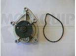 MOTAQUIP Wasserpumpe vwp923 für BMW MINI Peugeot
