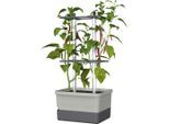 Gusta Garden , Grau, Hellgrau , Kunststoff , rechteckig , 34.5x69x27.5 cm , Loch, frostgeeignet ,