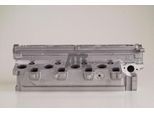AMC Zylinderkopf 908701 für VW Skoda