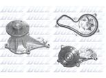 DOLZ Wasserpumpe h144 für HONDA