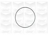 GRAF Wasserpumpe pa671 für Ford Vaughall JEEP ALFA ROMEO Opel Chrysler ROVER