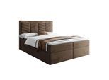 KONTINENTALBETT AURORA 160x200 mit Bettkasten Royal Velvet 196