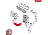 ESEN SKV Ladeluftschlauch 24skv983 für Fiat LANCIA
