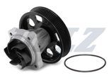 DOLZ Wasserpumpe n208 für Opel Ford Vaughall CHEVROLET LANCIA Peugeot