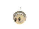 BOSCH Druckspeicher, Kraftstoffdruck 0438170004 für FERRARI Mercedes ROLLS-ROYCE PUCH