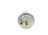 BOSCH Druckspeicher, Kraftstoffdruck 0438170027 für VW
