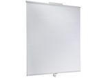 Plissee HECHT INTERNATIONAL "Sonnenschutzplissee FLEX", weiß (weiß, neutral), B:100cm H:130cm, Plissees, Plissee, BxH: 100x130 cm