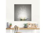 Glasbild ARTLAND "Magie der Lotus-Blume", grau (farbe bild(er): grau), B:125cm H:50cm, Bilder