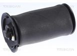 TRISCAN Luftfeder, Fahrwerk 872011202 für BMW