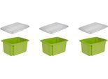 Organizer KEEEPER "emil", grün, B:28,5cm H:20,5cm T:38cm, Polypropylen, Aufbewahrungsboxen, Organizer, Aufbewahrungsbox, 15 L, mit Deckel, hochwertiger Kunststoff