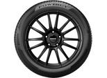 PIRELLI Sommerreifen 215/50R17 95Y - Powergy 3881500
