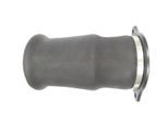 MONROE Luftfeder, Fahrwerk asp034 Hinterachse für Mercedes