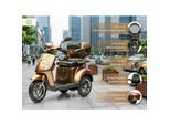 Econelo E-Seniorenmobil Yogi-IQ, Blei-Akku, 3-Rad, 1000 Watt, Braun