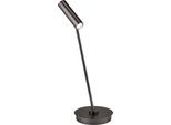 LED Tischleuchte "TOM", bronzefarben eloxiert, 1, Ø 16cm H: 50cm, 1 Stk., HELL HÖLLISCH GUTES LICHT, Leuchten, Tastdimmer, LED Tischleuchte