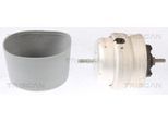 TRISCAN Lagerung, Motor 850529108 für Audi