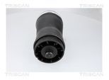 TRISCAN Luftfeder, Fahrwerk 872011204 für BMW