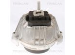 TRISCAN Lagerung, Motor 850511104 für BMW