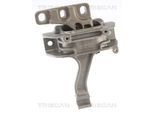 TRISCAN Lagerung, Motor 850529128 für VW