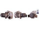 DRI AGR-Ventil 717720002 für Peugeot Ford Volvo Fiat MINI MAZDA Suzuki