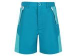 Regatta Kinderen/Kinderen Sorcer Colour Block Shorts (Emailblauw/Turquoise Blauw)