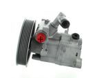 SPIDAN Hydraulikpumpe, Lenkung 54132 für Mercedes