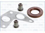 AJUSA Dichtungsvollsatz, Motor 51019000 für Citroën