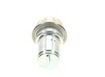 BOSCH Druckspeicher, Kraftstoffdruck 0438170004 für FERRARI Mercedes ROLLS-ROYCE PUCH