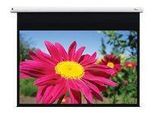 Optoma DE-1123EGA motorisierte Leinwand Wand-/Deckenmontage, 16:10, (123") 312 cm