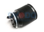 OYODO Luftfeder, Fahrwerk 40a0019oyo Hinterachse links für LEXUS