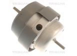 TRISCAN Lagerung, Motor 850529169 für Audi SEAT
