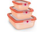 Frischhaltedose EMSA "oneClick", orange, B:20,19cm H:8,5cm L:25,97cm, Polyprophylen (PP), Lebensmittelaufbewahrungsbehälter, Frischhaltedose, verschlossen mit nur 1 x Klick, 100% dicht, made in Germany