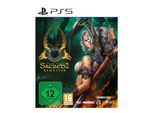 Sacred 2 - Fallen Angel Remaster