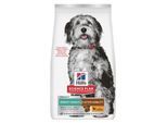 Hill's Science Plan Trockenfutter Hund, Perfect Weight & Active Mobility, Medium Adult, mit Huhn 2x12 kg